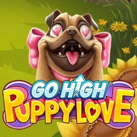 Go High Puppy Love online slot from RubyPlay – play at sspinoloco.com