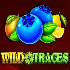 Wild Traces by Amusnet Interactive, showcased at sspinoloco.com – game logo